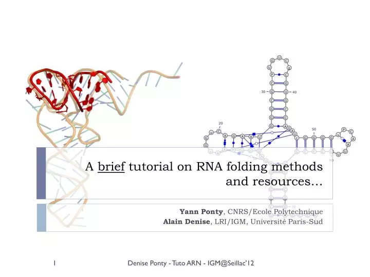 a brief tutorial on rna folding methods and resources