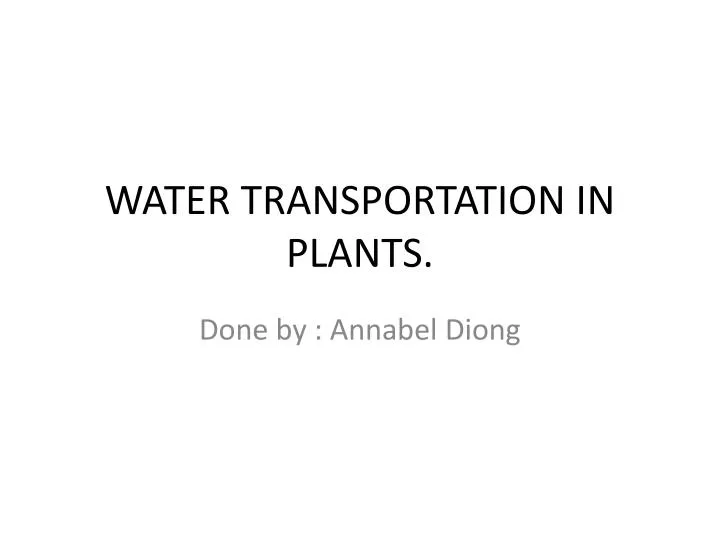 water transportation in plants