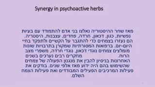 synergy in psychoactive herbs