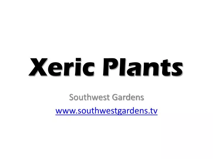 xeric plants