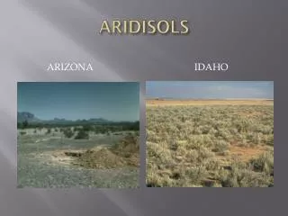 ARIDISOLS