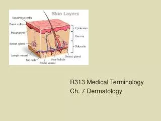 R313 Medical Terminology Ch. 7 Dermatology