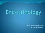 Endocrinology - slide 1