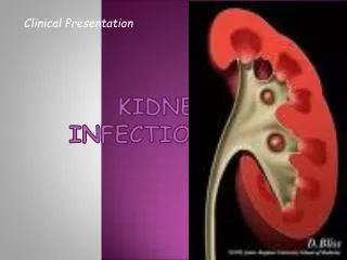 KIDNEY INFECTION