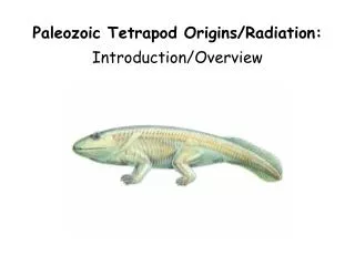 Paleozoic Tetrapod Origins/Radiation: Introduction/Overview