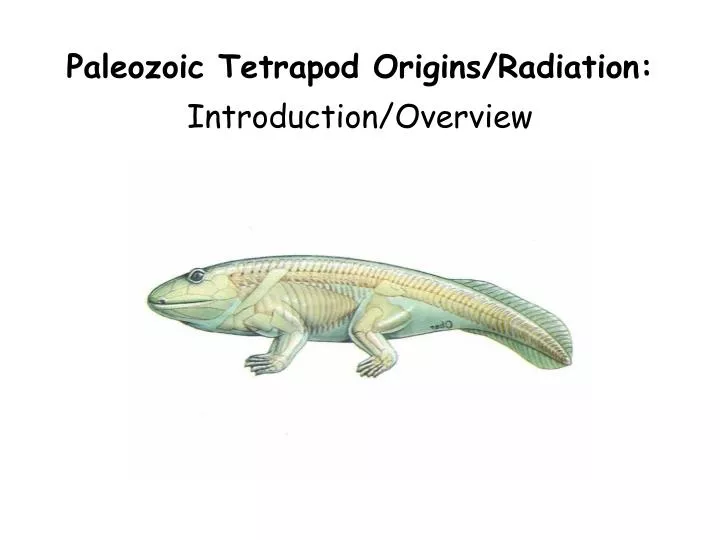 paleozoic tetrapod origins radiation introduction overview
