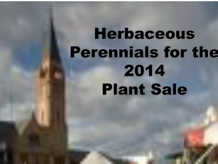 herbaceous perennials for the 2014 plant sale