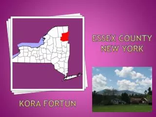 ESSEX COUNTY NEW YORK