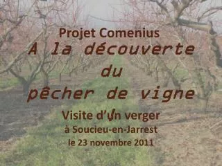 projet comenius