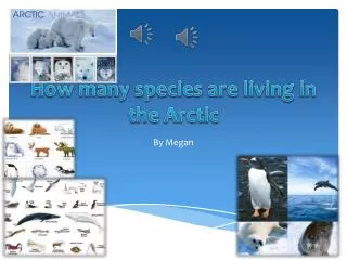 How many species are living in the Arctic