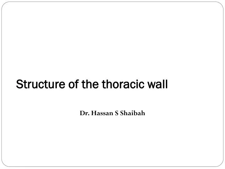 structure of the thoracic wall