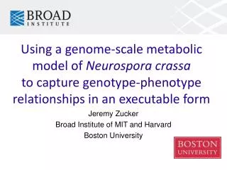 Using a genome-scale metabolic model of Neurospora crassa