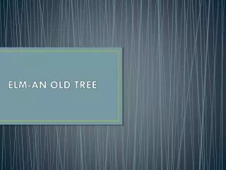 ELM-AN OLD TREE