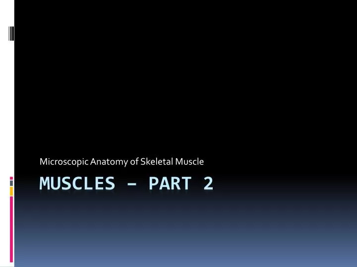 microscopic anatomy of skeletal muscle