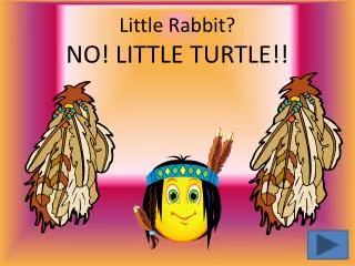 Little Rabbit? NO! LITTLE TURTLE!!