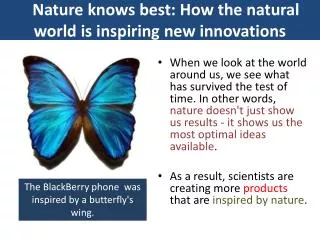 Nature knows best: How the natural world is inspiring new innovations