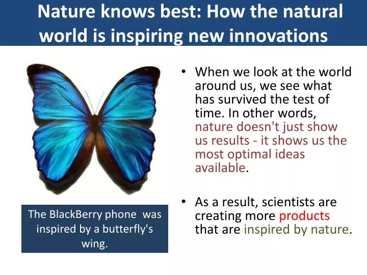 nature knows best how the natural world is inspiring new innovations