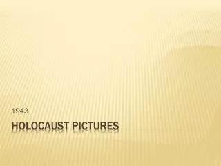 Holocaust Pictures