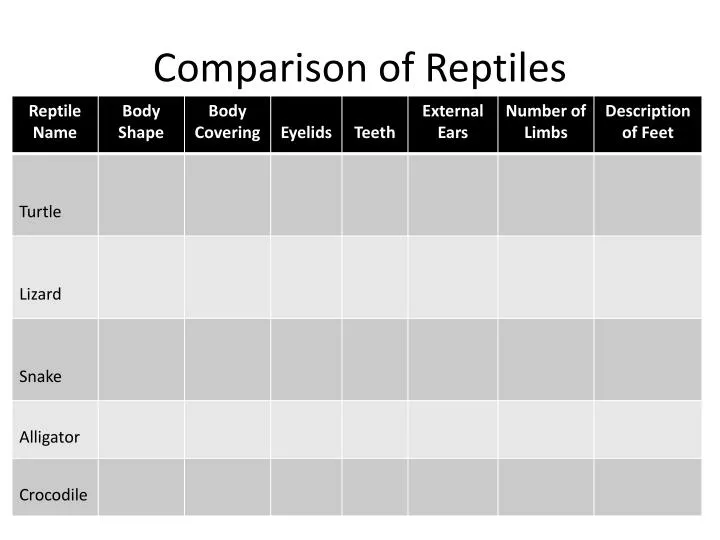 comparison of reptiles