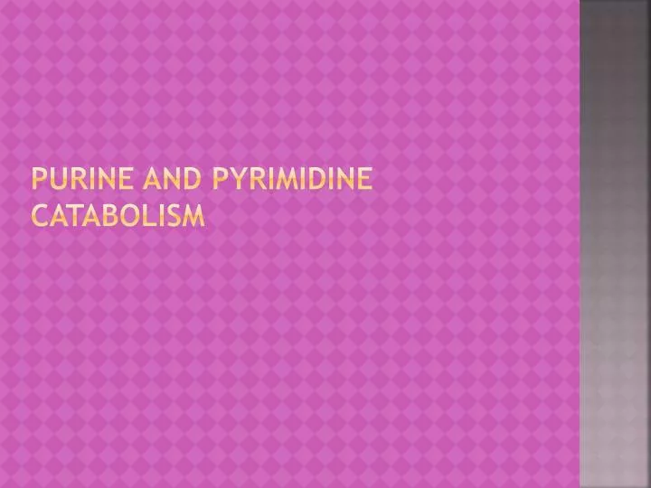 purine and pyrimidine catabolism