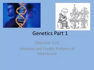 Genetics Part 1