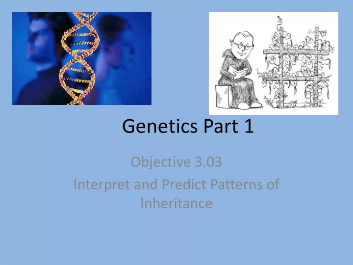 genetics part 1