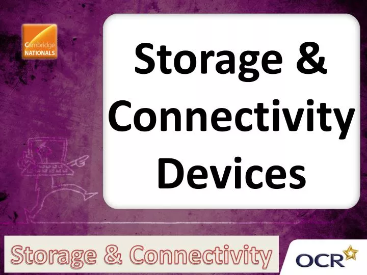 storage connectivity devices