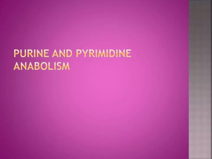 purine and pyrimidine anabolism