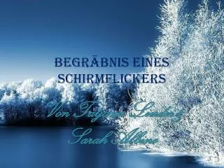 begr bnis eines schirmflickers