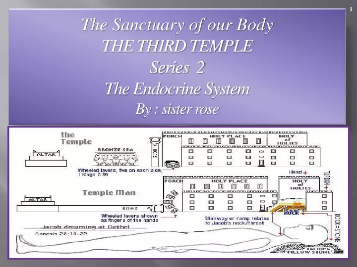 the sanctuary of our body the third temple series 2 the endocrine system by sister rose