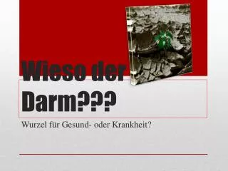 wieso der darm