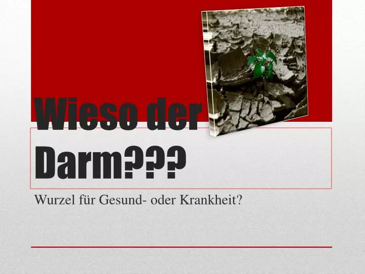 wieso der darm