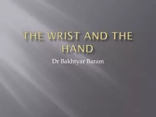 The Wrist and the hand