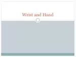 Wrist and Hand - slide 1