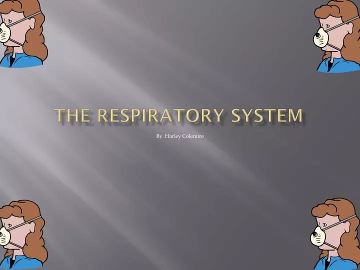 the respiratory system