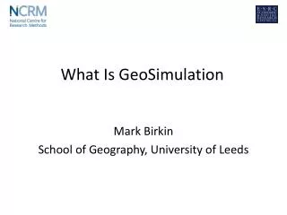 What Is GeoSimulation
