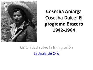 Cosecha Amarga Cosecha Dulce: El programa Bracero 1942-1964