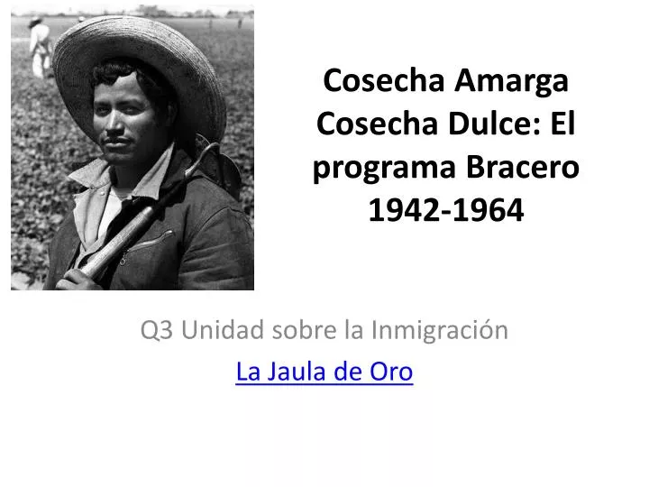 cosecha amarga cosecha dulce el programa bracero 1942 1964