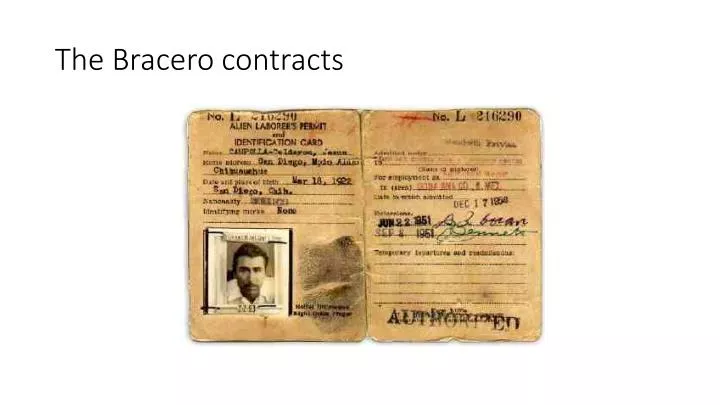 the bracero contracts