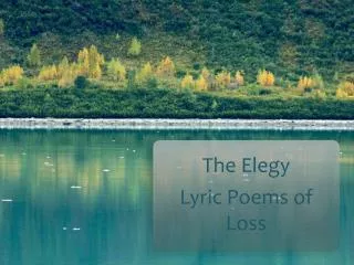 The Elegy Lyric Poems of Loss