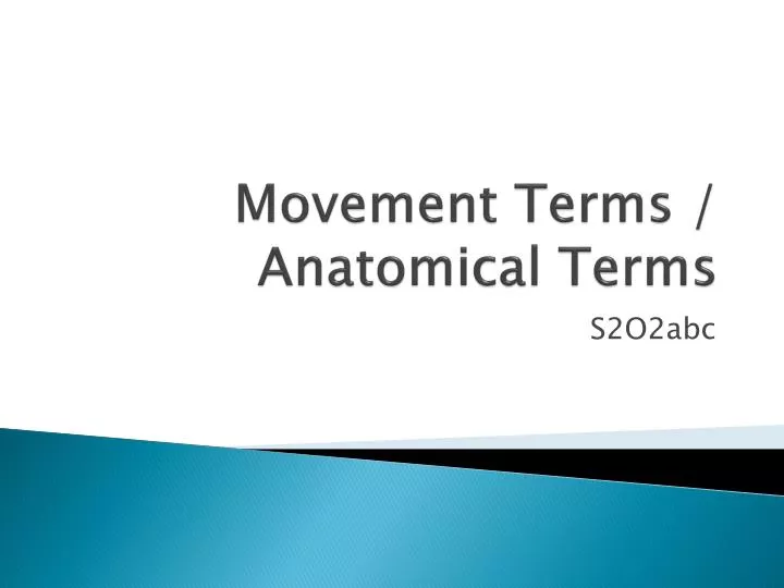 movement terms anatomical terms
