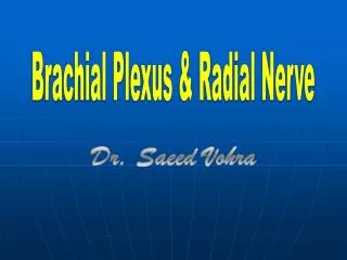 Brachial Plexus &amp; Radial Nerve