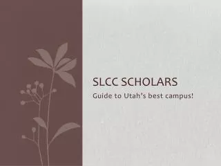 SLCC Scholars