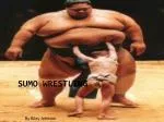 Sumo Wrestling - slide 1