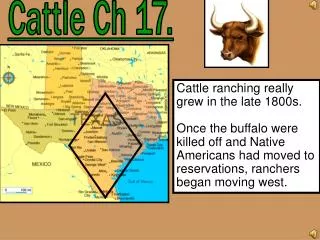 Cattle Ch 17.