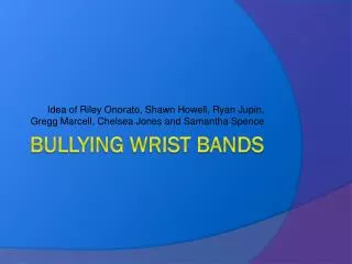 Bullying Wrist Bands