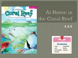 At Home in the Coral Reef