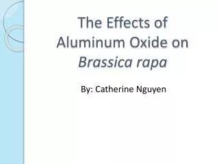 The Effects of Aluminum Oxide on Brassica rapa