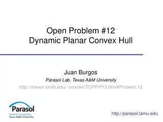 Open Problem #12 Dynamic Planar Convex Hull