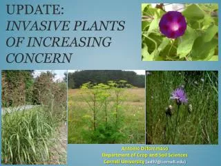 Update : invasive PLANTS of increasing concern